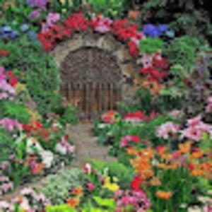 Meet your Posher, Teresa